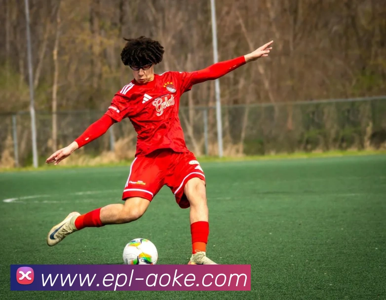 澳客官网平台生态图